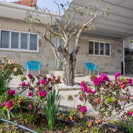فيلا Casa Do Alto Do Vez Balouta المظهر الخارجي الصورة
